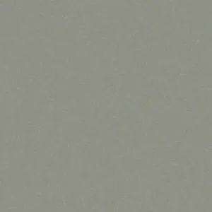 Finishfoil-نقره-ای