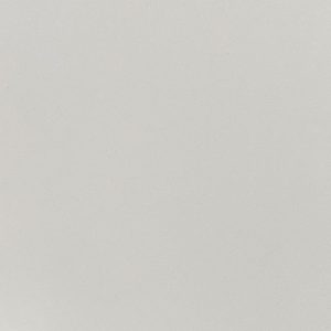 Light Grey 505