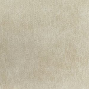 Terra Latte 120