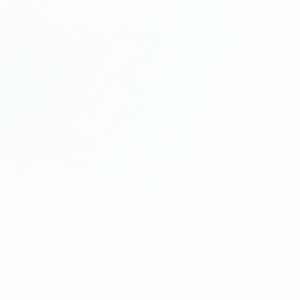 White AFP 501